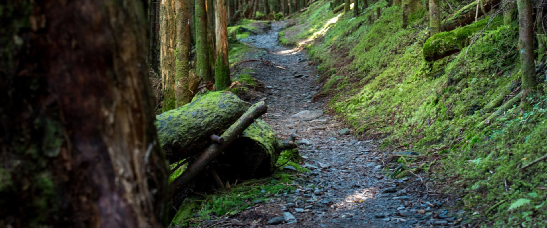 Explore Interactive Maps of the - B7a8551b7f56e49119bac0001ba29160 